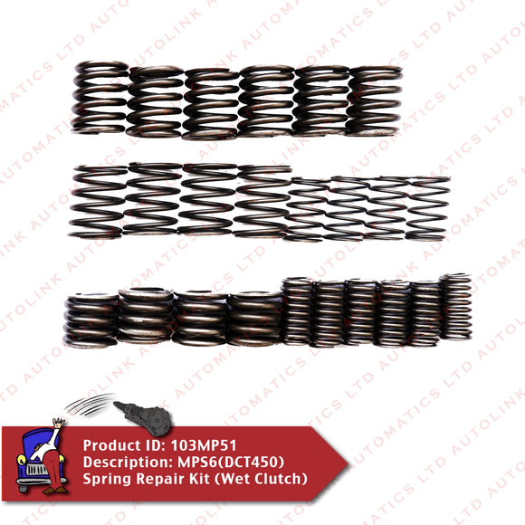 MPS6(DCT450) Spring Repair Kit (Wet Clutch)