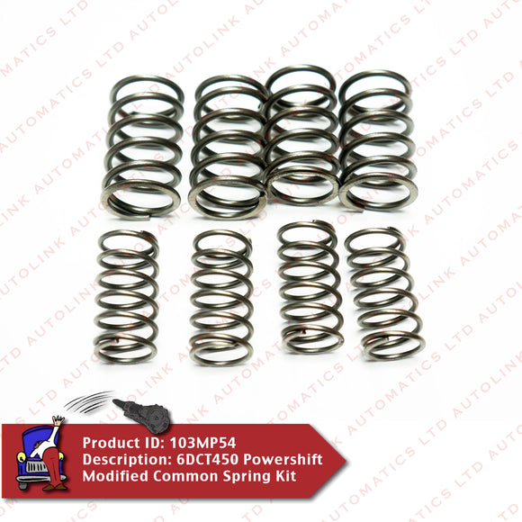 6DCT450 Powershift Modified Common Spring Kit