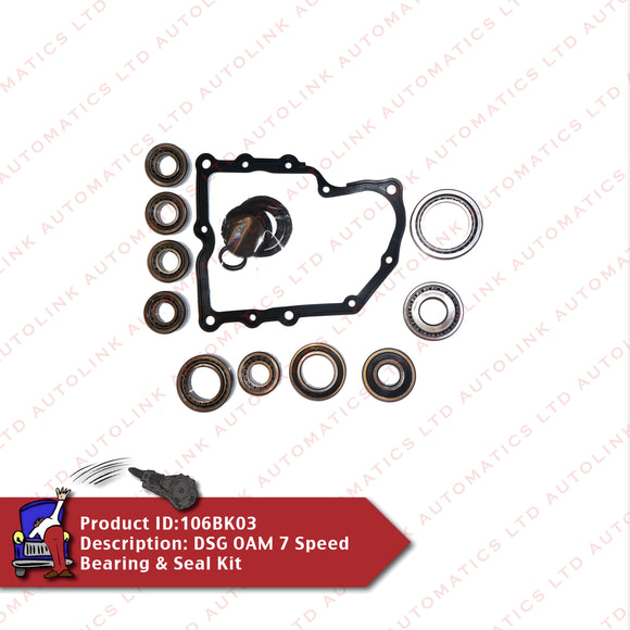 DSG OAM 7 Speed Bearing & Seal Kit