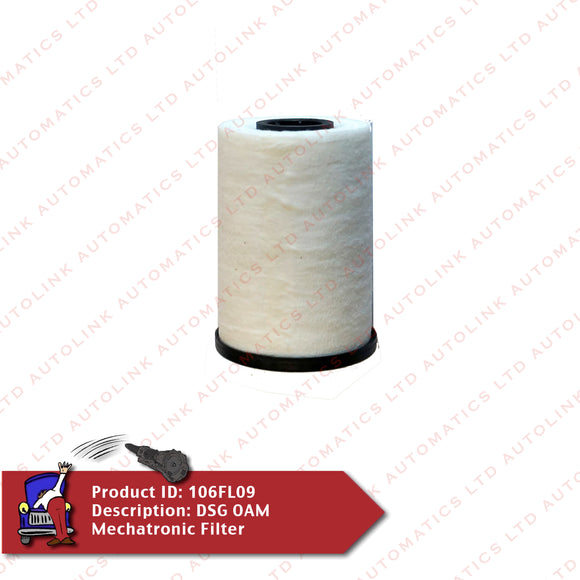 DSG OAM Mechatronic Filter